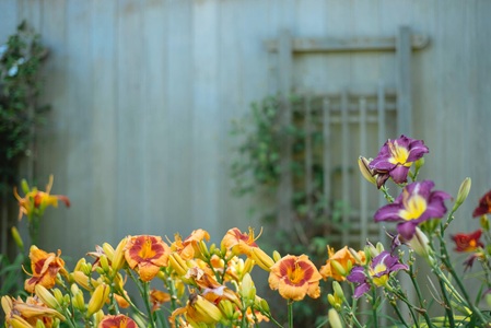 Blumen